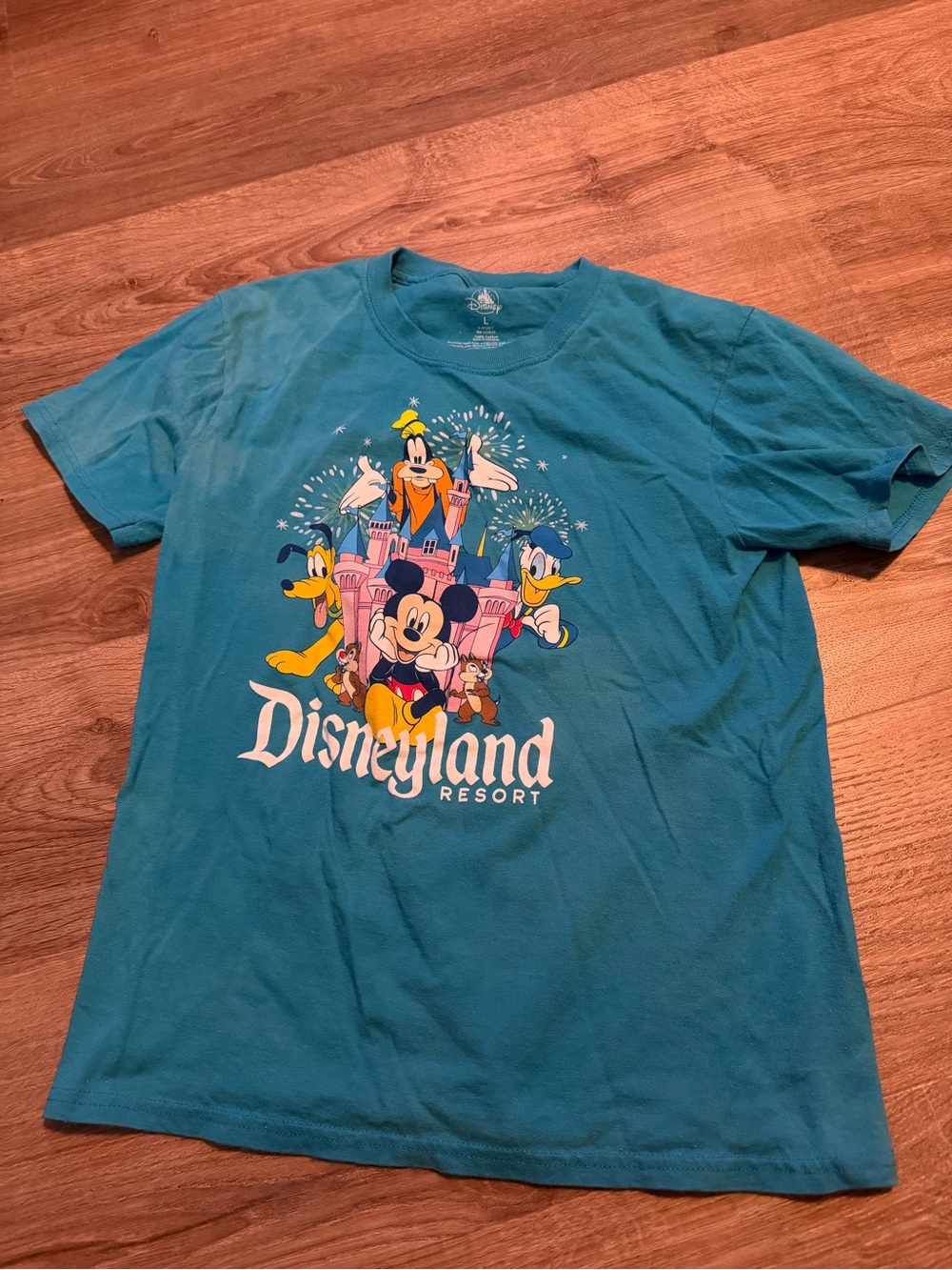 Disney Teal Mickey & Friends Disneyland Resort Graphic Tee